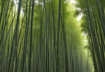 Fototapeta premium mesmerizing waste bamboo forest, no people