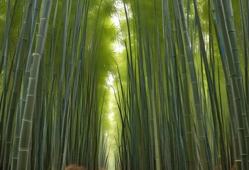 Fototapeta premium mesmerizing waste bamboo forest, no people