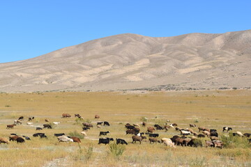 Stunning natural landscapes of the mountains and steppe in Kyrgyzstan, Central Asia