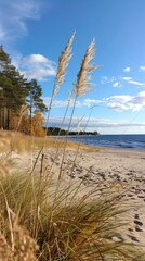 A peaceful shoreline with a sandy beach and clear blue water on a sunny autumn day