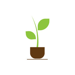 sprout logo icon