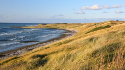 Grass-covered dunes along coastal areas protect shorelines from erosion and provide habitats for unique wildlife species.