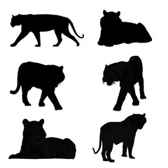 Naklejka premium set of animals silhouettes