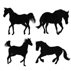 silhouettes of horses