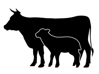 Cow and sheep. Farm animals