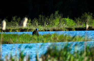 Samotny rybak łowi ryby na śródleśnych rozlewiskach w wiosennym dniu. © JDziedzic
