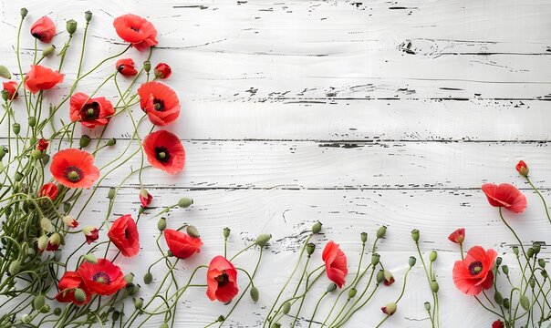 Red poppy flowers on a wooden background. Banner with space for your text.