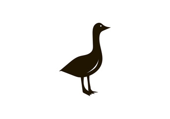 duck duck logo template logo icon vector illustration