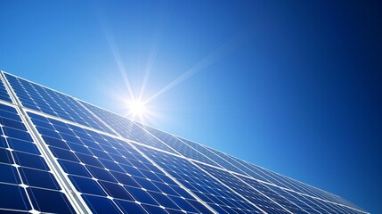 Solar Panels Gleaming in the Sunlight