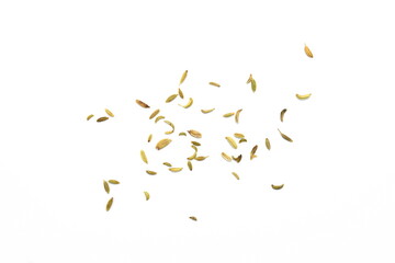 Fennel seeds spilled on a white background