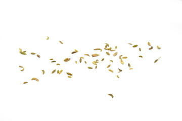 Fennel seeds spilled on a white background