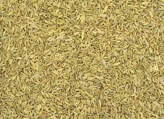 Fennel as a background close up.