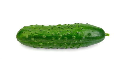 Cucumber isolated on white background. Fresh cucumber