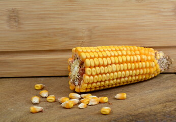 Corn cob and seeds on wooden table