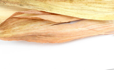 Close-up of corn leaves isolated. Autumn color background.