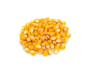Dried corn kernels on white background, top view