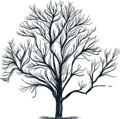 Vintage hand drawn sketch of dry tree without leaves