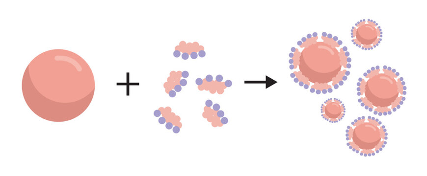 Fat emulsification by bile