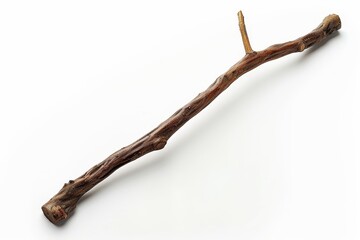 Obraz premium Willow walking stick with clipping path at actual size