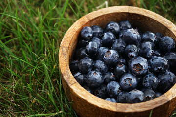 Fresh blueberries in a wooden bowl on green grass