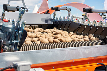 Infeed hopper for vegetables agricultural machine and potatoes