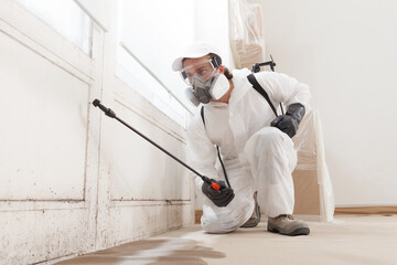Mold remediation service: A professional worker spraying products to remove mold before house...
