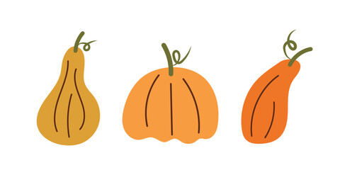 Pumpkins. Pumpkins of different shapes and colors. Vector illustration of the pumpkin harvest