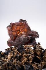 Close up of wild dried black fungus on white background