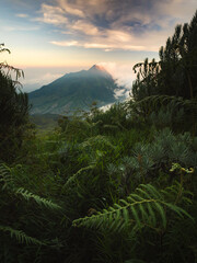 the magnificent Merapi Volcano in Java Island, Indonesia. Merapi Volcano is one of the most active...