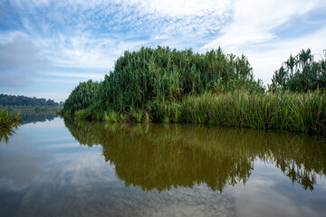 Tasik Chini is the second largest fresh water lake in Peninsular Malaysia and is made up of a series of 12 lakes.