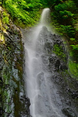 善根不動滝（新潟県）