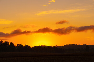 Obraz premium A beautiful summer sunrise over the crop field. Natural morning landscape of rural Latvia, Northern Europe.