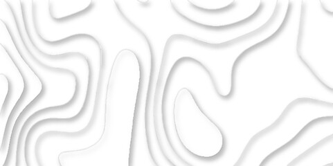 Topographic map of geology and contour map geometric lines, Modern white carve wave line abstract luxury 3d papercut background, Topographic canyon geometric map relief texture with curved layers.