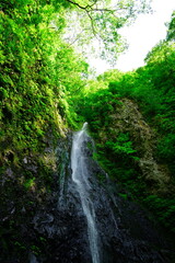 善根不動滝（新潟県）