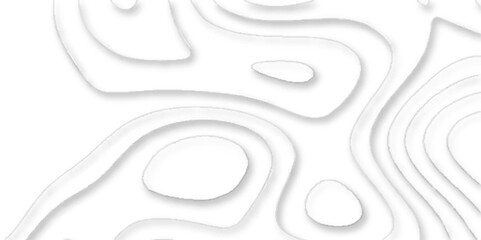 Topographic map of geology and contour map geometric lines, Topographic canyon geometric map relief texture with curved layers, geometric white abstract papercut of line topography.	