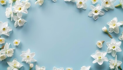 Round white narcissus flower border on blue background with copy space