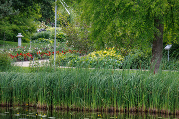 Obraz premium Sommerzeit im Park