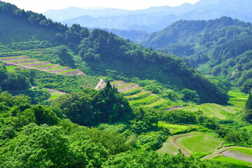 清水の棚田（新潟県）
