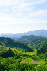 清水の棚田（新潟県）