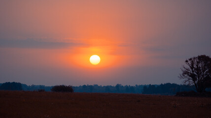A beautiful red sun disk rising above the horizon. Natural scenery of summer in rural Latvia,...