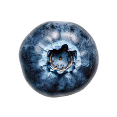 Close-up image of a single fresh blueberry on a white background, showcasing its texture and detail.