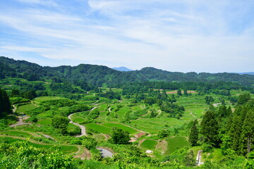 星峠の棚田（新潟県）