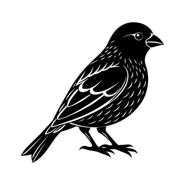 black bird silhouette on white background clip art preview