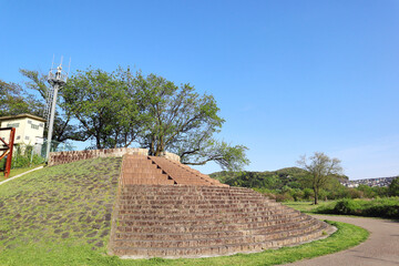 京都・背割堤