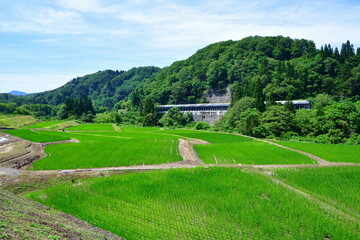鯖石川ダム周辺の田園風景（新潟県）