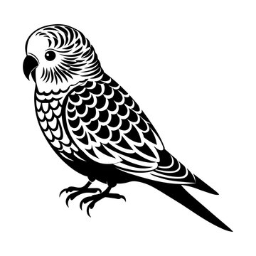 recommend clip art: A Budgerigar Silhouette