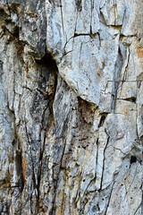 Cracked wooden background