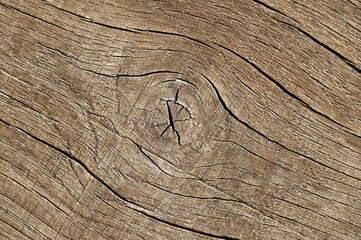 Abstract wooden background