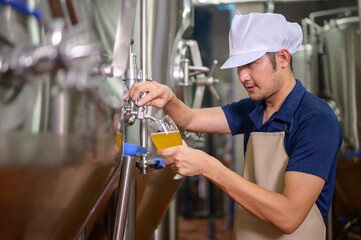 A young Asian male brewer holds a beer glass in his hand and is inspecting craft beer to check the flavor and color of the beer in the brewery industry.