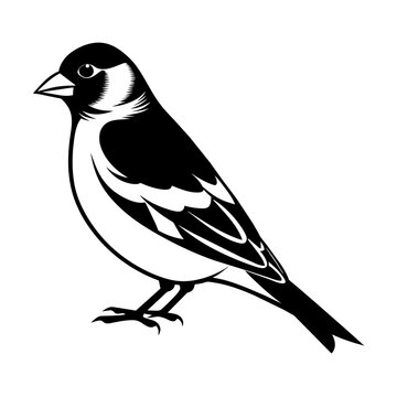 recommend clip art: A Goldfinch Bird Silhouette